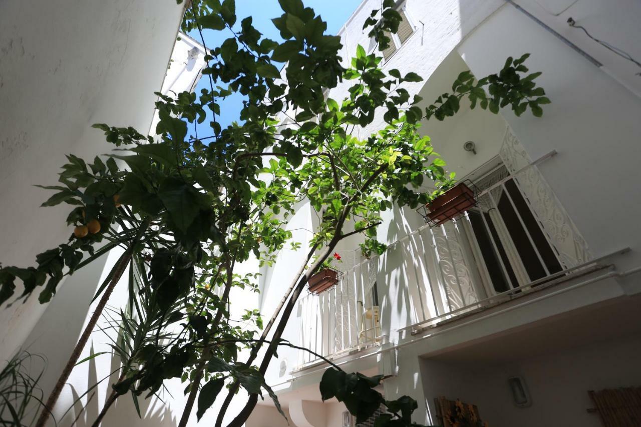 Il Cedrangolo House Tree Monopoli Exterior foto